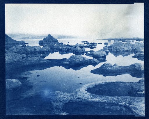 Beat the Blues:  Making Cyanotypes