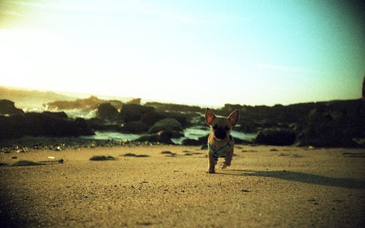 First Impressions Last With the Lomography X-Pro Slide 200