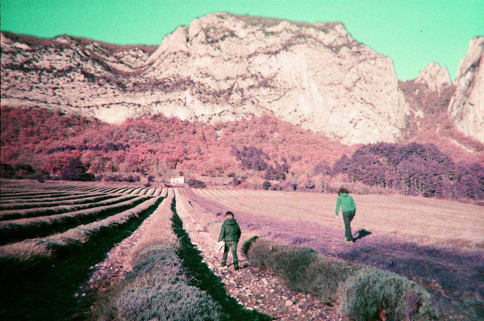 Photos by frenchyfyl, zeihha, afoxcalledandrew and true_grain