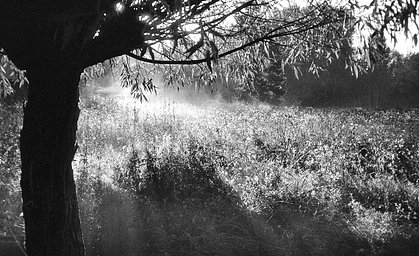 カメラ: Pentax Espio 140V · Lomography