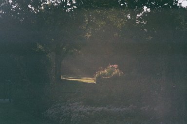 Camera: Nikon Lite Touch Zoom 110s AF · Lomography