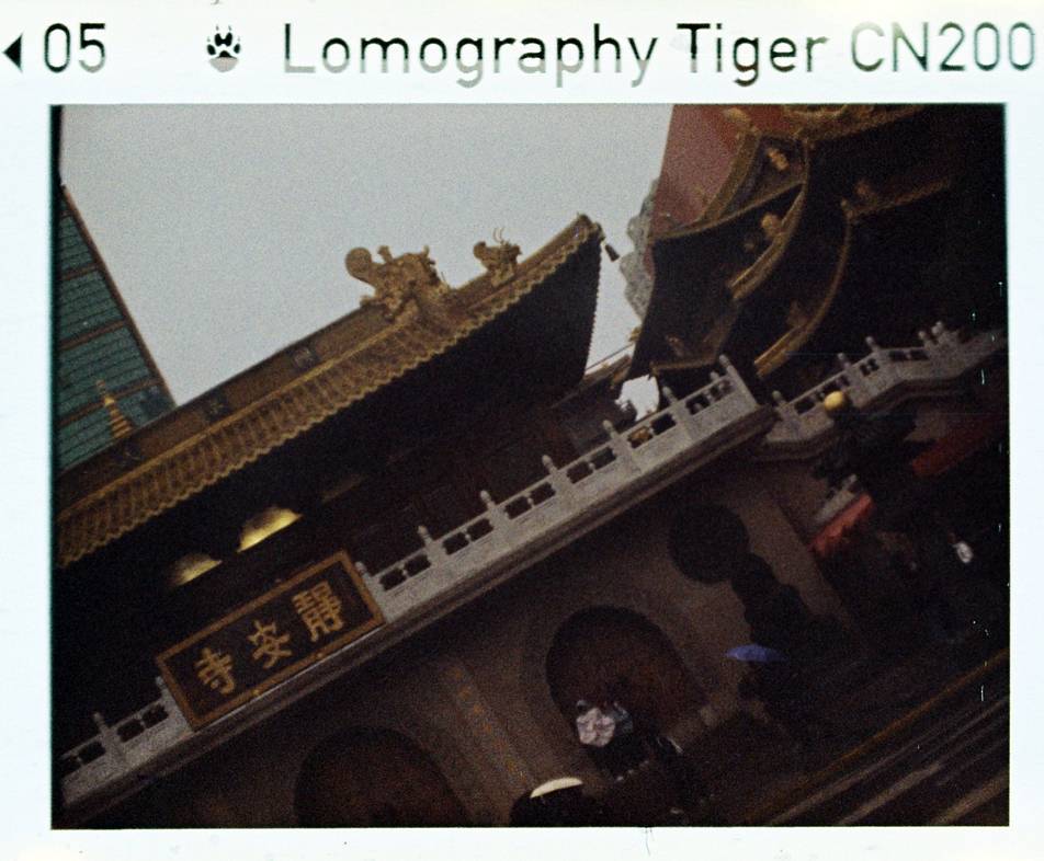 © 管韵清 | 使用 Diana Baby 110 胶片相机 &amp; Lomography CN Tiger 110 负片胶卷 拍摄
