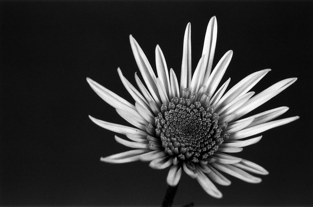 Photos by George Oeser