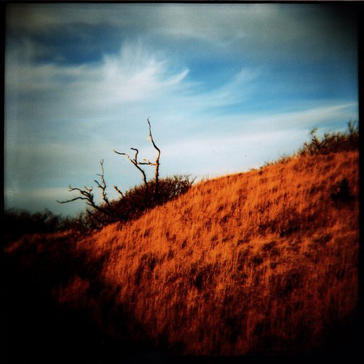 Kodak Ektachrome EPP (120, 100 iso) User-Review