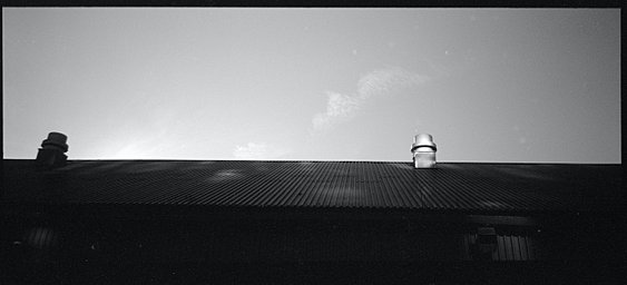 Camera: Contax Tvs · Lomography