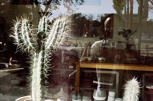 Testing LomoChrome Metropolis: Trevor Lee