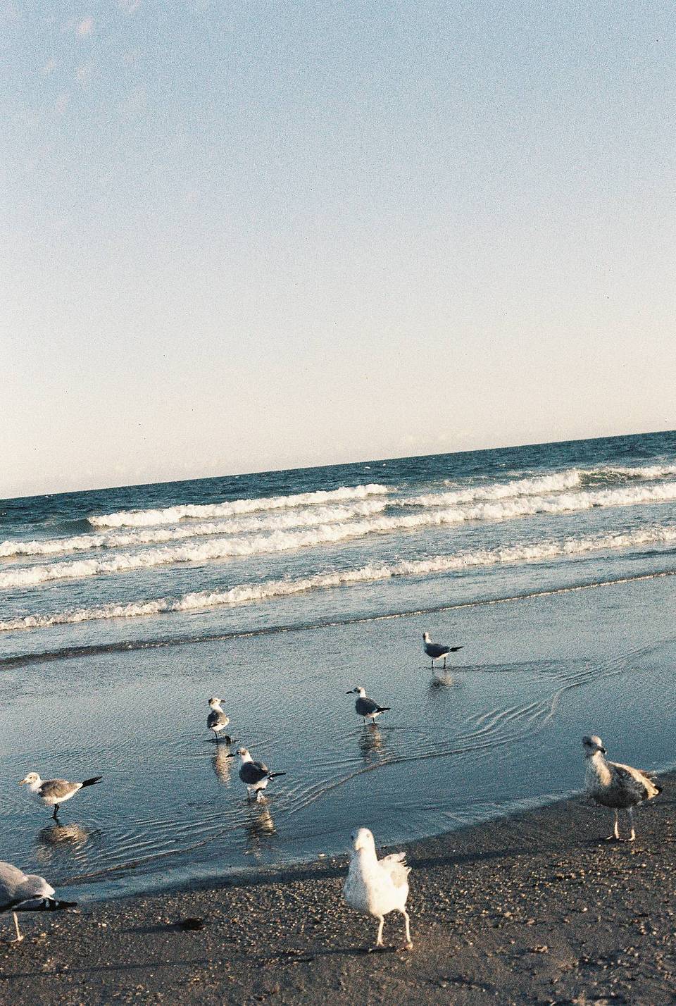 Photo by Erica Reade , 用 LomoChrome Classicolor ISO 200 135 经典版彩色负片 拍摄