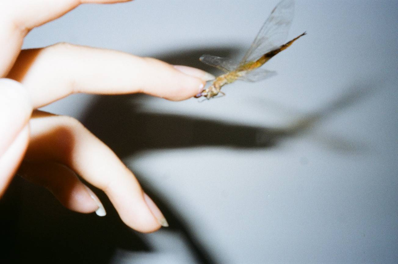© MORRE