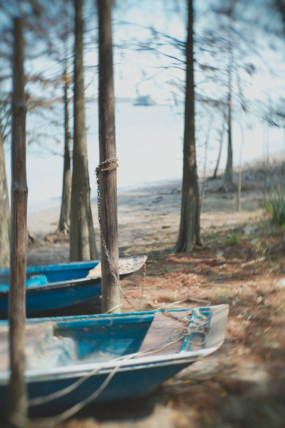 © 依然信薇 | 使用 Joseph Petzval 匹兹伐 55 f/1.7 联动对焦散景调控艺术镜头 拍摄