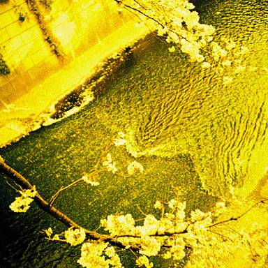 kayoy39