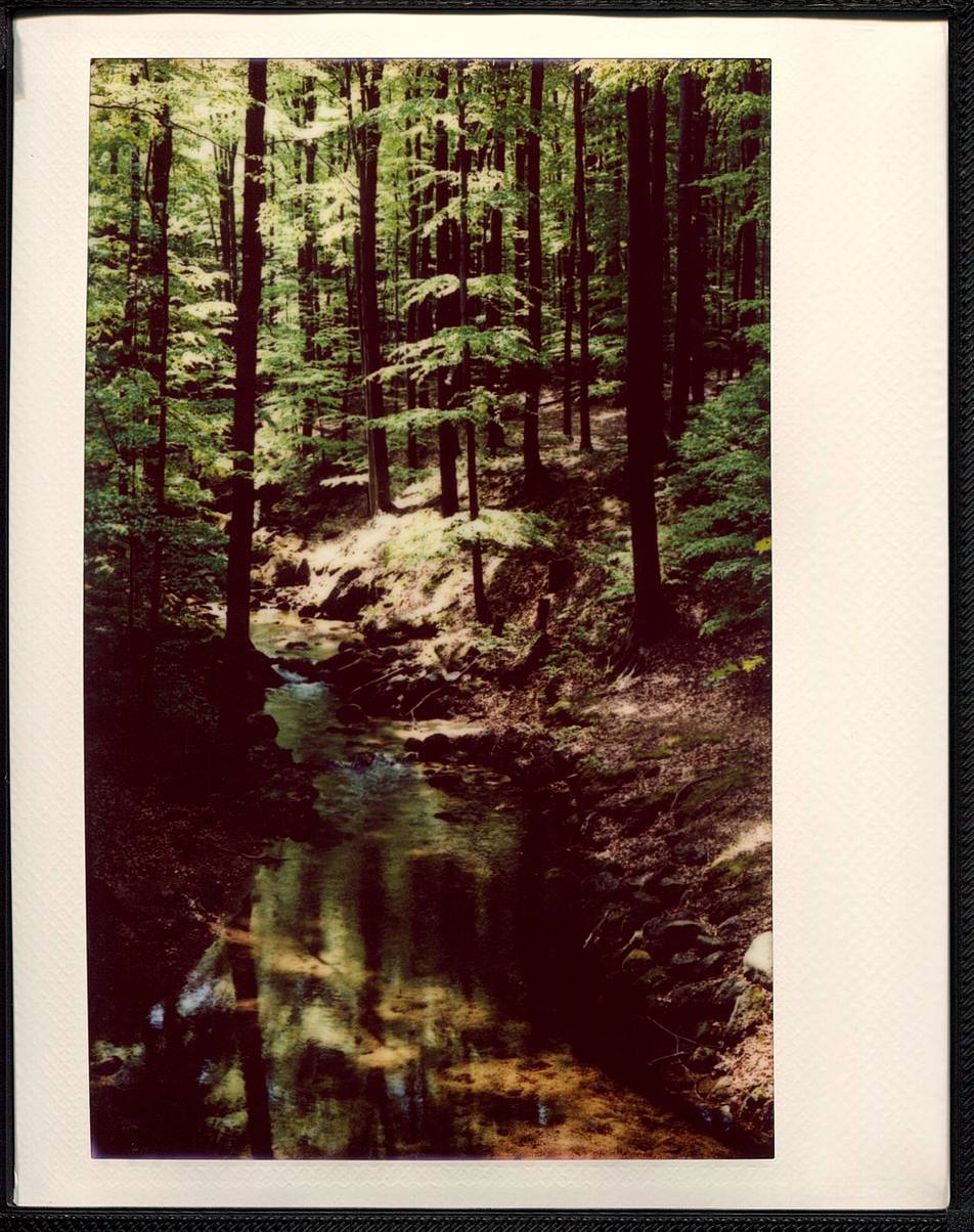 Photo by smolda English165 words · 28 versions · 2024-08-23 07:56:44