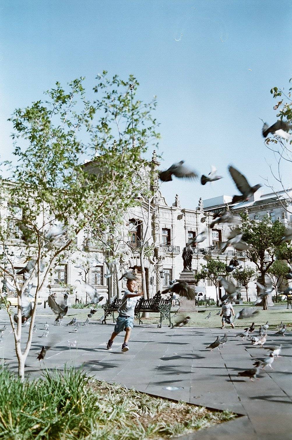 瓜达拉哈拉大教堂（Guadalajara Cathedral） 屹立于城市中心，其和谐的结构是建筑摄影的绝佳素材。大教堂被四个广场环绕，步行即可到达武器广场（Plaza de Armas）、德戈拉多剧院（Teatro Degollado）、哈利斯科杰出人物纪念堂（Rotonda of Illustrious Jalisciences）和解放广场（Plaza Liberación）等必看景点。建议在日出或黄金时段前往——那是光影与氛围感最梦幻的时刻。(Photo by analog-frankie )