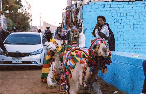 Around the World in Analogue: Exploring Egypt