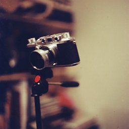 Camera: Zenza Bronica S2, Nikkor-P 75mm f/2.8 · Lomography