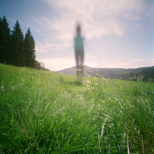 LomoAmigo Novemberkind Discovers the Diana Multi Pinhole Operator
