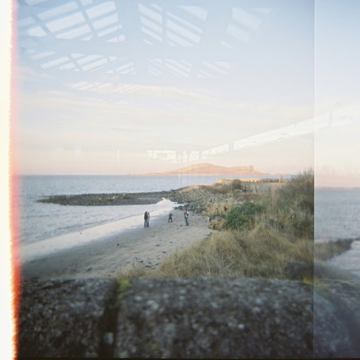 Our Irish LomoAmigos Solar Bears shooting with the Holga CFN 120