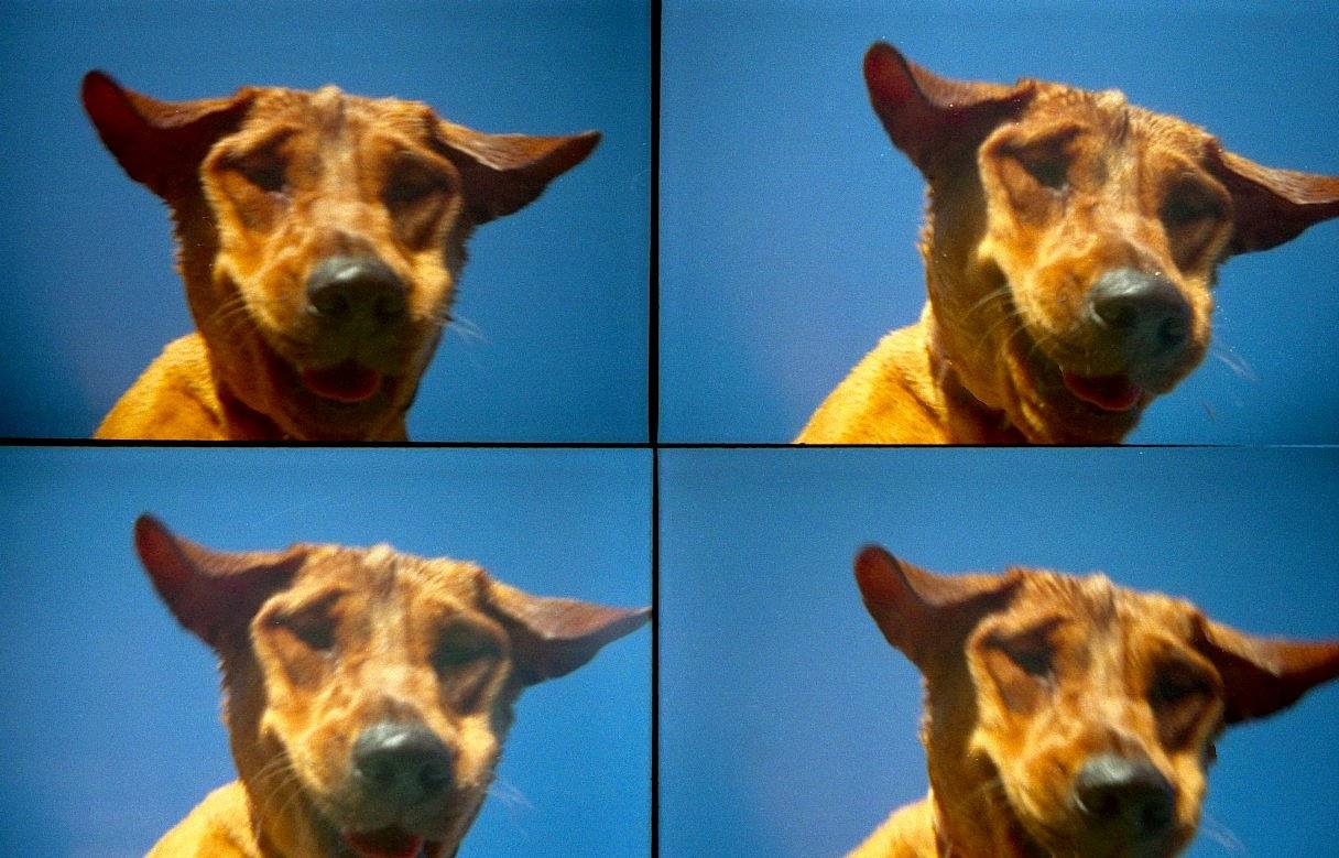 4連写なら楽しさも4倍：ActionSampler · Lomography