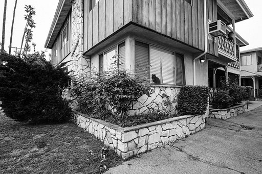First Impressions: Chris Visser With the Atoll Ultra-Wide 2.8/17 Art Lens