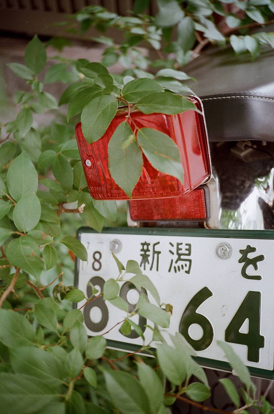 Photos by Masato Hirano | Shot with Lomo MC-A 135 全自动随拍胶片相机