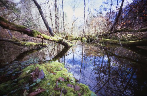 Further Explorations On Pinhole Cameras