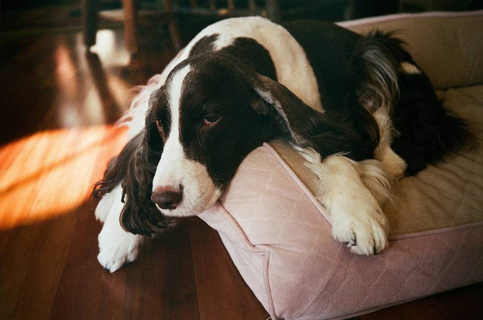 Photos by Ben Fraternale