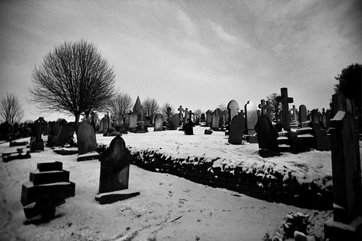 Kodak T-Max 400 35mm Versus the Competition