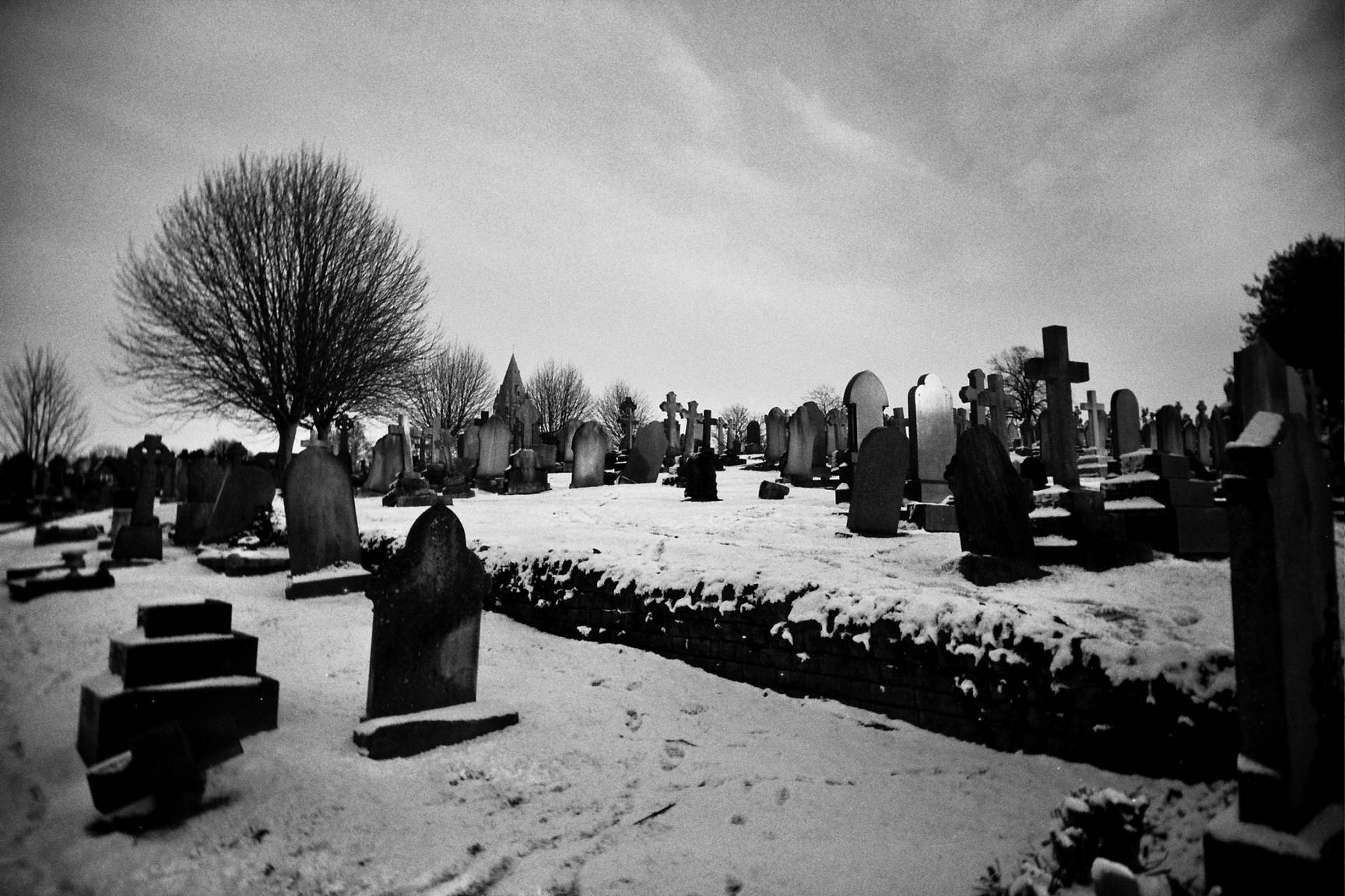Kodak T-Max 400 35mm Versus the Competition · Lomography