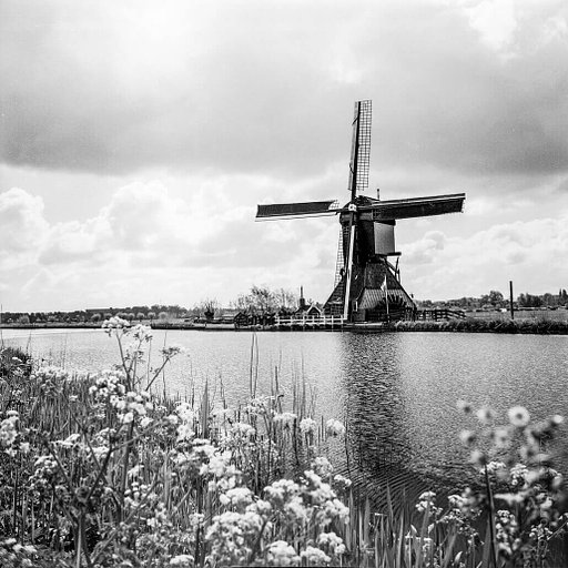 Around the World in Analogue: Kinderdijk, Netherlands