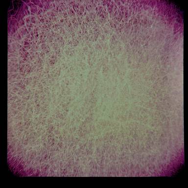 canyousee