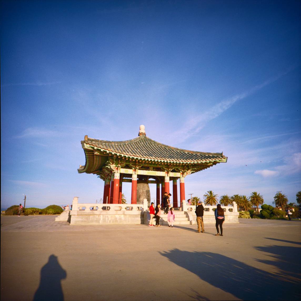 Lomography 标志性的美学 － 让照片充满生机。