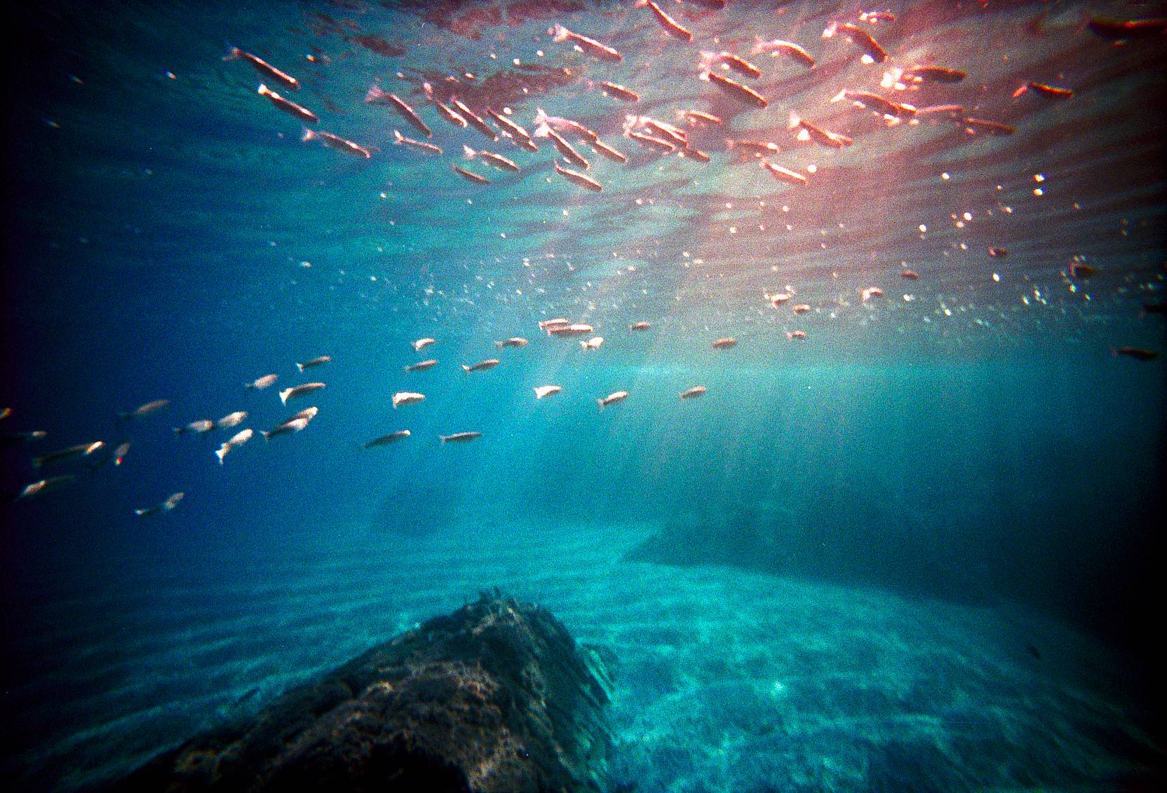ロモグラフィックな色を見つけよう：青 · Lomography