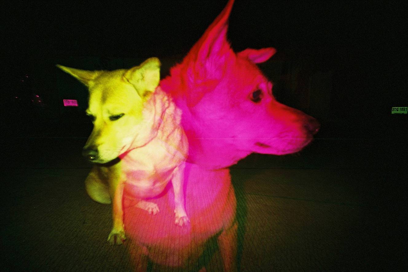 Credits: 007-0815-styler, amp_puttipong, myleskatherine, cold_pencil_, lomography, dinobrain, nstsee &amp; churbumgirl