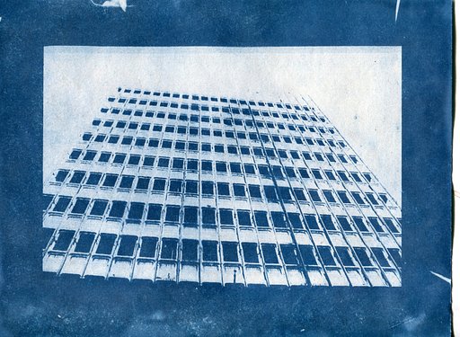 Seeing Blue: How to Make a Cyanotype Print