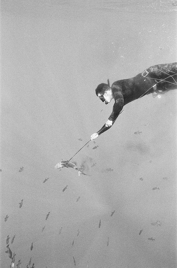 Katharine Kollman 使用 Lomography B&amp;W ISO 400 Berlin Kino 135 柏林电影黑白胶卷 拍摄的照片