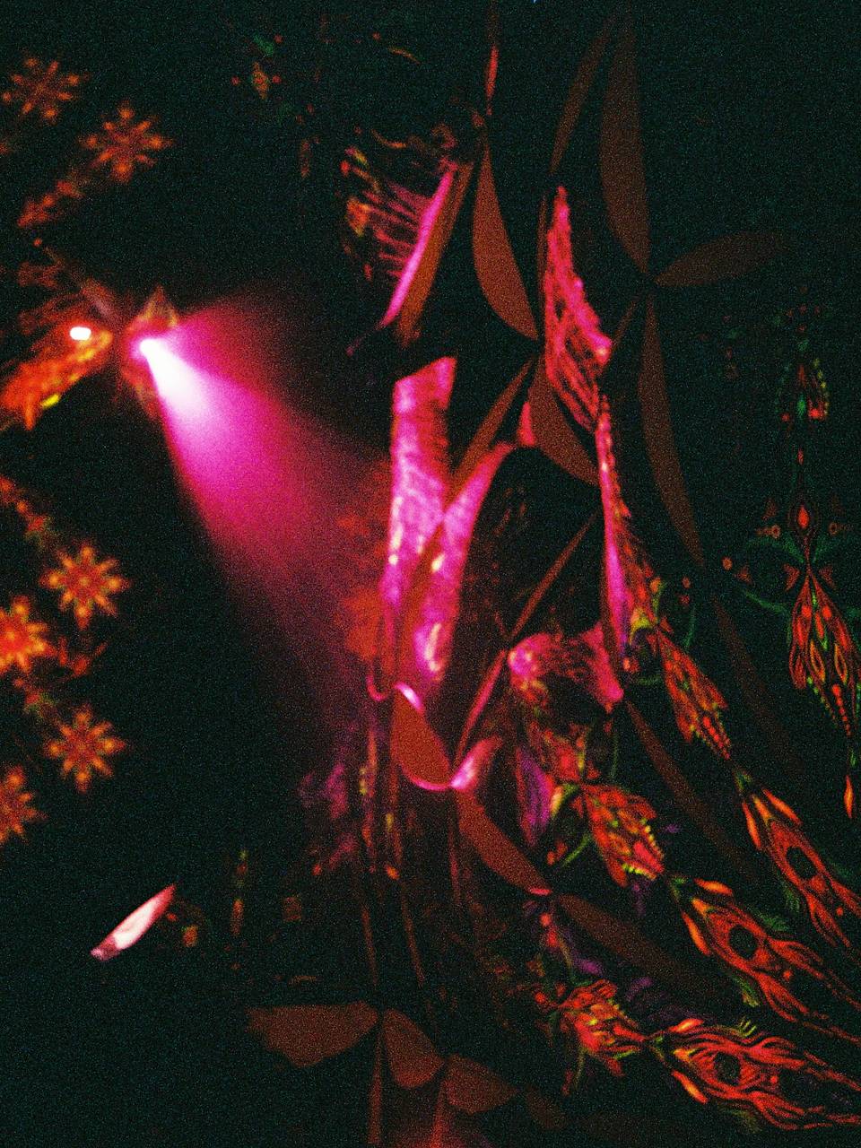 © 拳， 春游音乐节 | 使用 Lomo MC-A 135 全自动随拍胶片相机 &amp; Lomography Redscale XR ISO 50-200 135 红调负片胶卷 拍摄