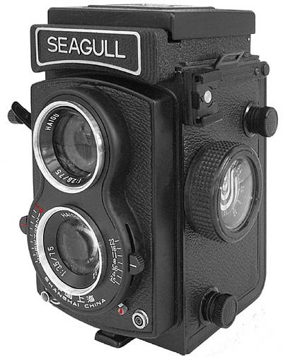 動作確認済】 Seagull 海鷗 G05-0424-41v 動作確認済】 Seagull 海鷗