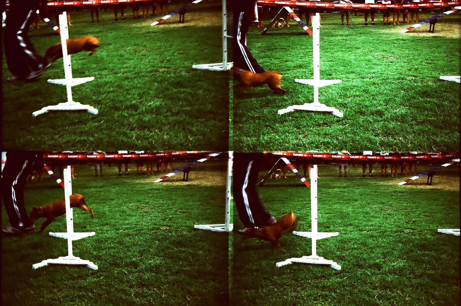 Appareil Photo Vintage Action Sampler 4 Objectifs - Colmate CL-848 - 35mm Lomography - Neuf Dans Sa Boîte