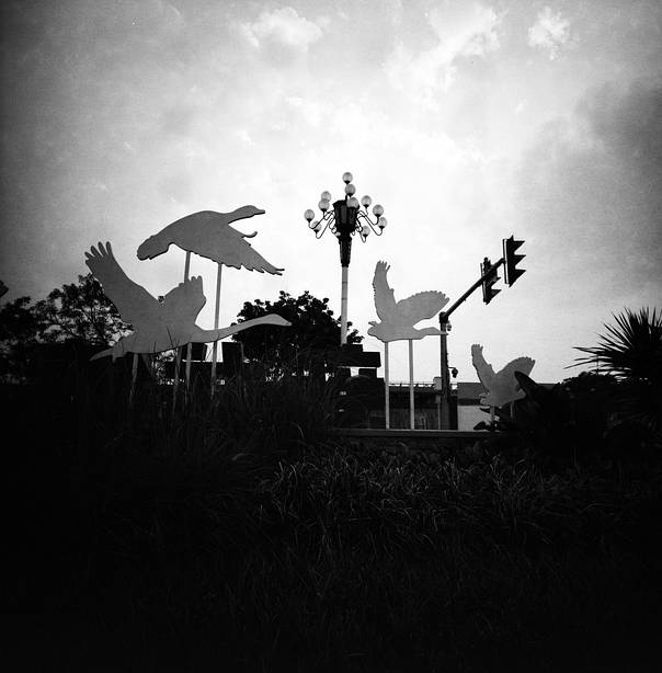 ©雪人大树