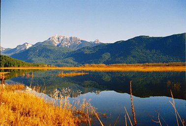 Lens: Minolta 35-70 mm f/4 AF · Lomography