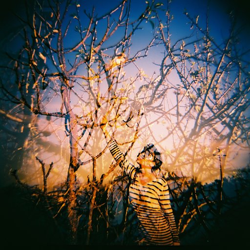6 trucos que debes probar sí o sí con la Diana F+