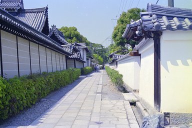 カメラ: Ricoh Myport 330 Super · Lomography