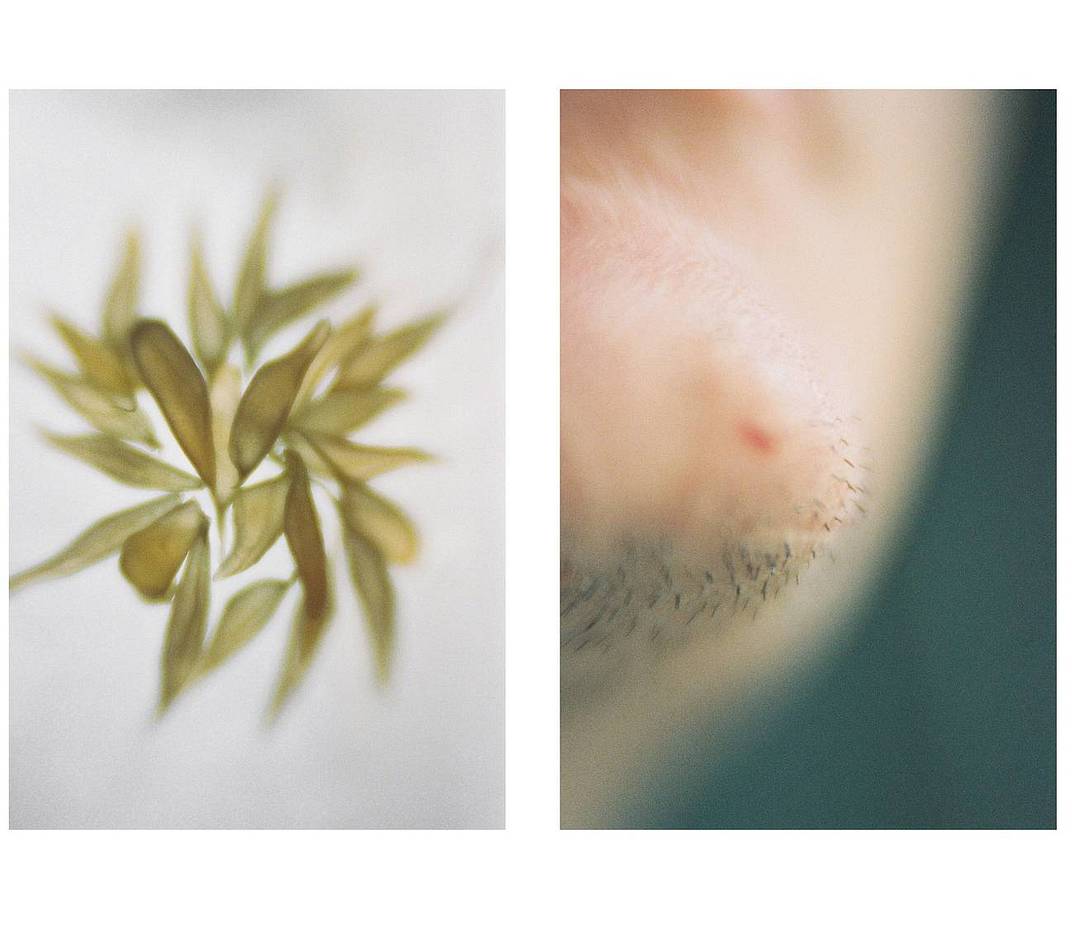 © A Minuscular World with the Daguerreotype Achromat