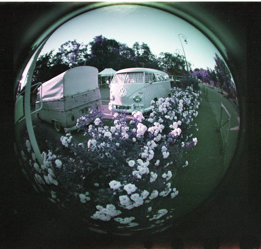 Credits: nucweacia94fine , sjstack , dianasaur , jects , astonuts & lomography