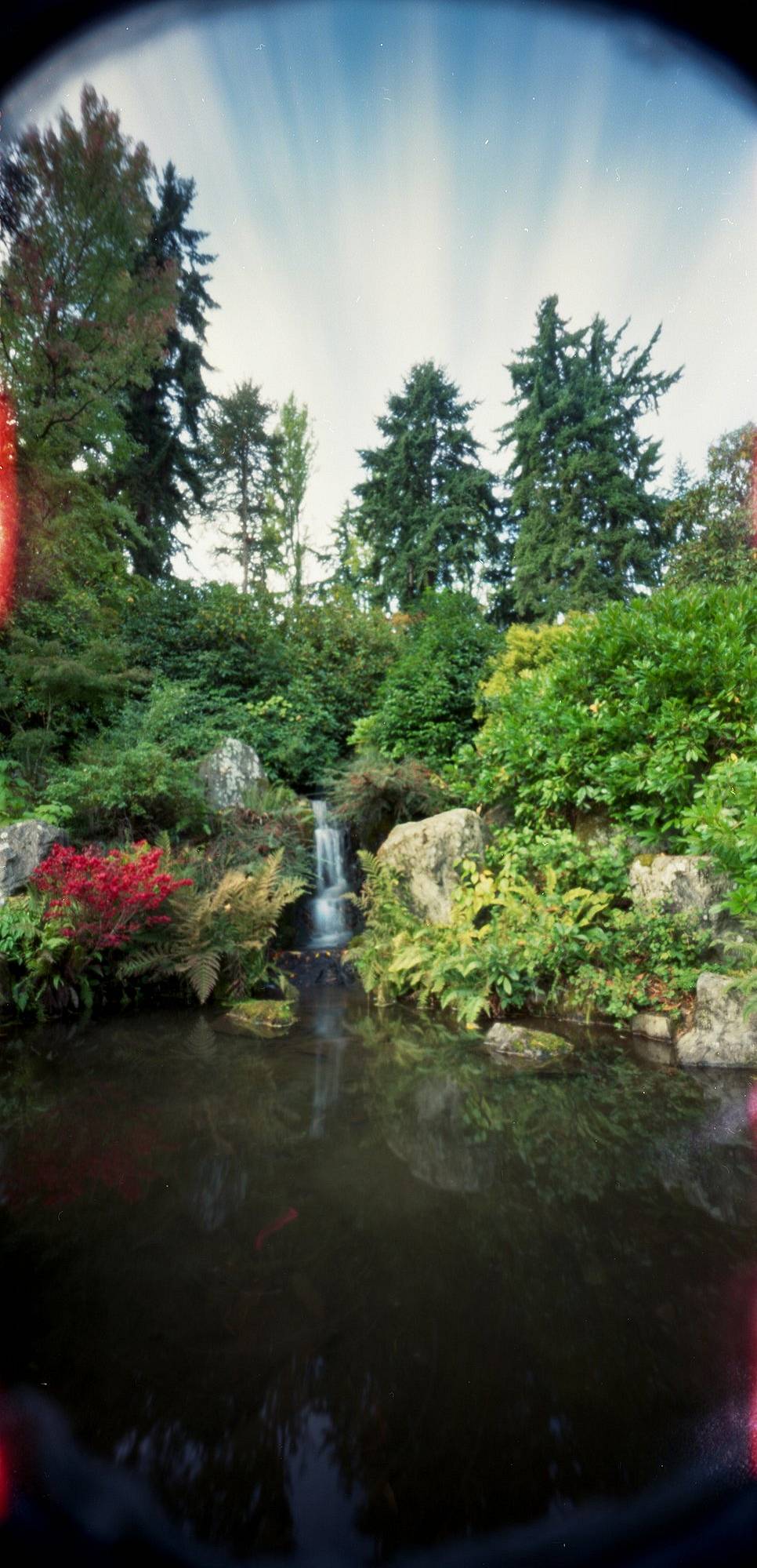久保田花园‌（Kubota Garden） 是西雅图一座占地 20 英亩的公园，融合了日本园林风格与西北本地植物，营造出一种宁静的氛围。园内有各种桥梁和建筑可以探索，也能了解日本园艺以及花园的建造者——久保田藤太郎（Fujitaro Kubota）。试试用 针孔摄影 来捕捉这片都市绿洲的静谧气息吧。 (Photo by lorrainehealy )