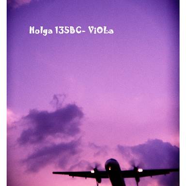 viola33