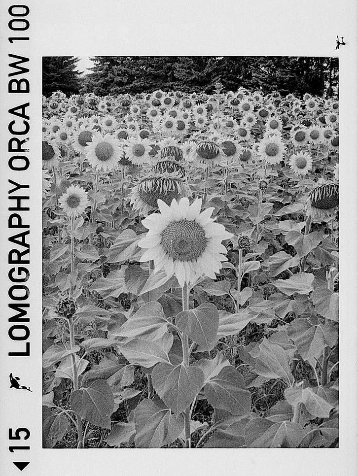 © stereograph