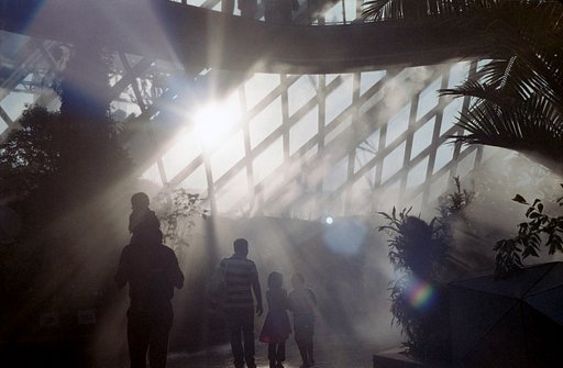 On Inspiring Others to Go Analogue — an Interview with Dmitri Tcherbadji