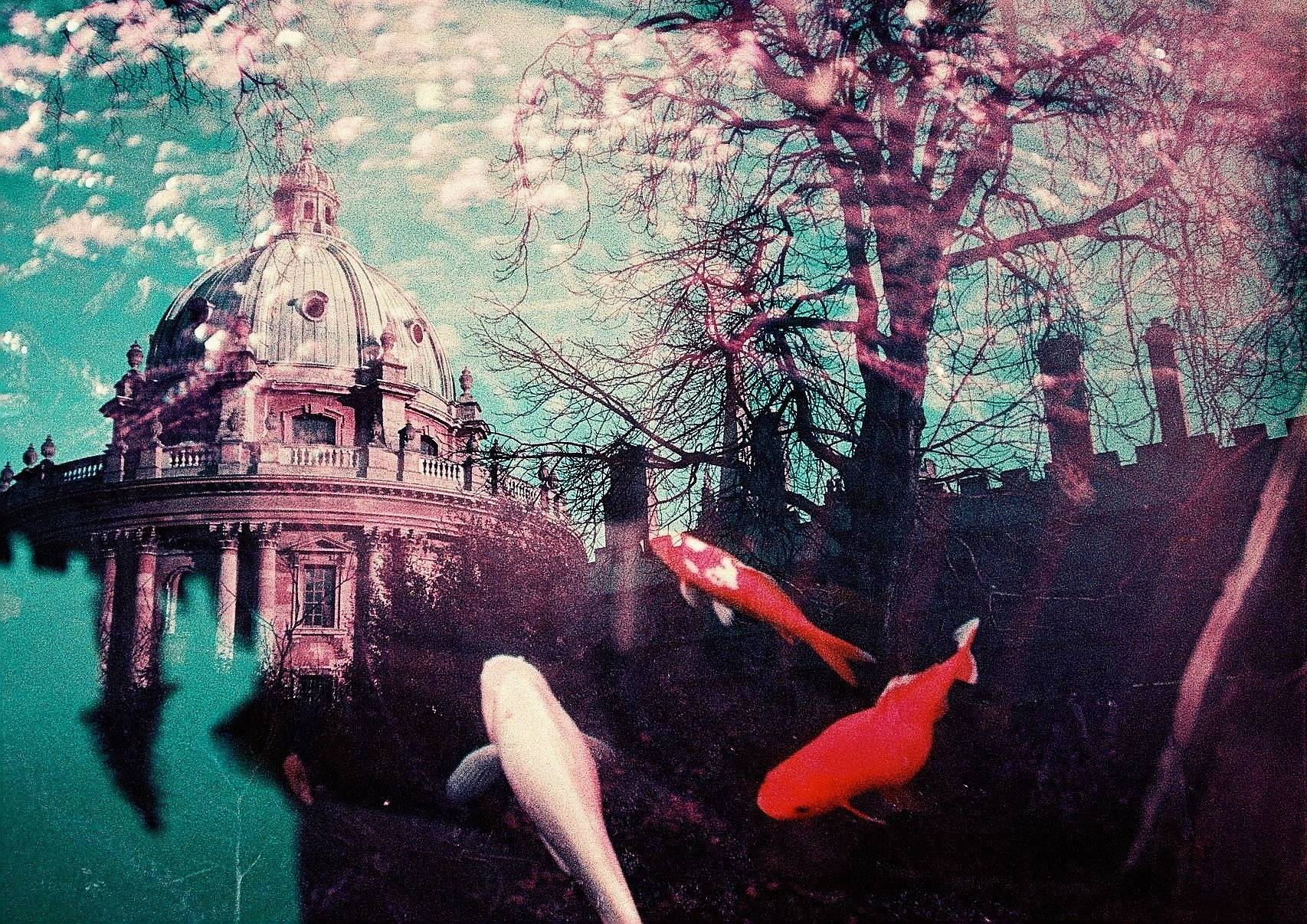 Photo by ihave2pillows
