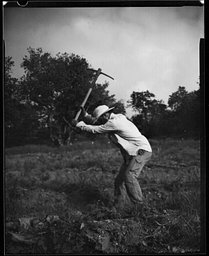 Lens: Schneider Kreuznach Symmar 210mm F/5.6 · Lomography