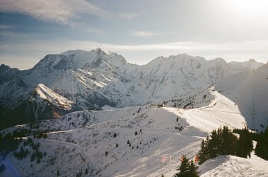 カメラ: FUJI AUTO-8QD · Lomography